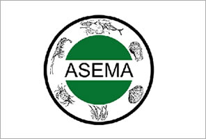 ASEMA - Banner Tipo 2