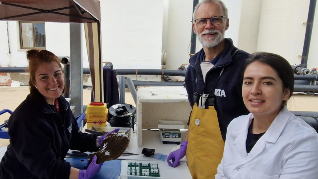 IRTA and Sea Eight team up boost sole reproduction and strengthen aquaculture production in Europe