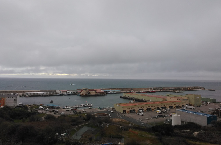 Seafood Legacy Spain begins construction in Burela to bring salmon to market by 2029