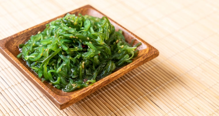 Alga wakame japonesa Alga wakame japonesa
