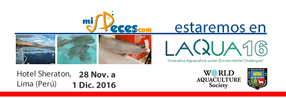 banner-boletin-lacqua-2016 banner-boletin-lacqua-2016