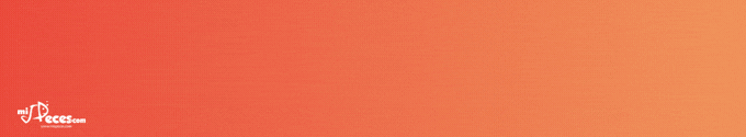 misPeces - banner newsletter (EN)