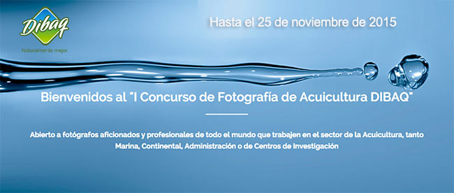 banner-dibaq-fotografia-2015