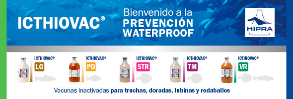 hipra-AAFF-banner-590x200
