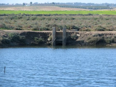 Foto Los Tejares - Cartaya