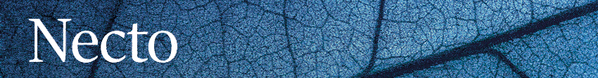 Skretting - misPeces - NECTO - 3A