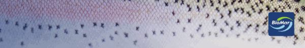 BioMar - EFICO Enviro Trout