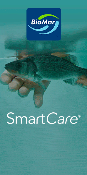 biomar-2025-10-EN_SmartCare-Banner-296x592px