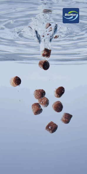 biomar_en-2026_06_Grower_Pellets_Efico_maxio-296x592px