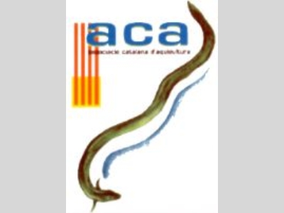 aca