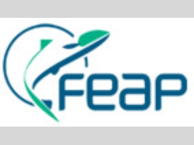 logo_feap