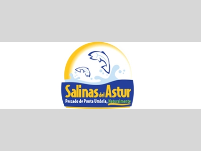 salinasdelastur-logo