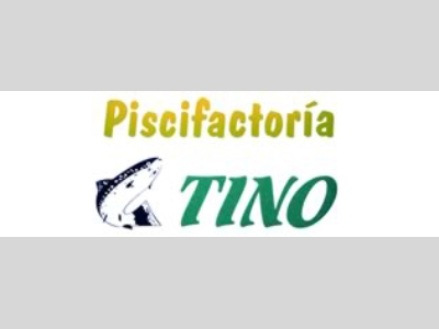 tino_logo