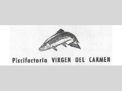 virgendelcarmen_logo