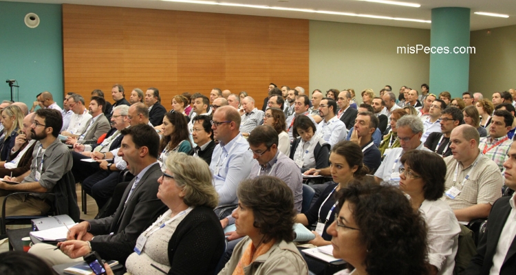 AE2014-sansebastian2 AE2014-sansebastian2