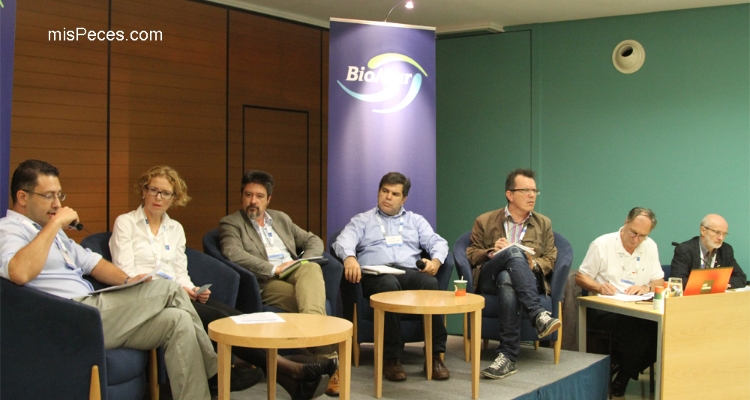 AE2014-sansebastian3