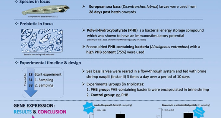 Andrea-Franke-Lindsay-Laird-Award-Poster-EAS-2015
