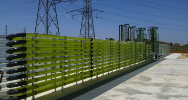 CO2Algaefix-agencia-andaluza-energia