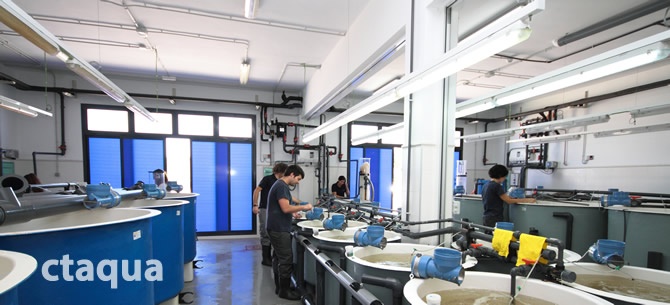 CTAQUA instalaciones técnicas