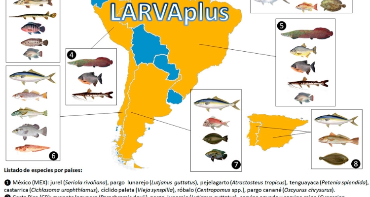 RED-CYTED-LARVAplus_v8