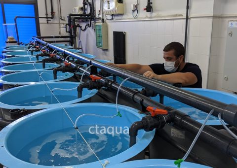 Laboratorio húmedo de CTAQUA, proyecto SIMBA