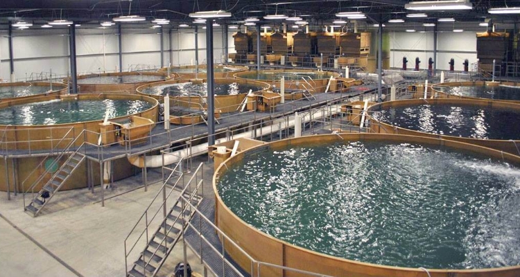 SIS-Aquaculture