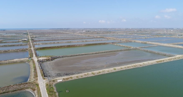 Tainan-City-Wind-Energy-Project-Image-1