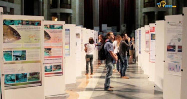 XIVCNA-SEP2013-paneles