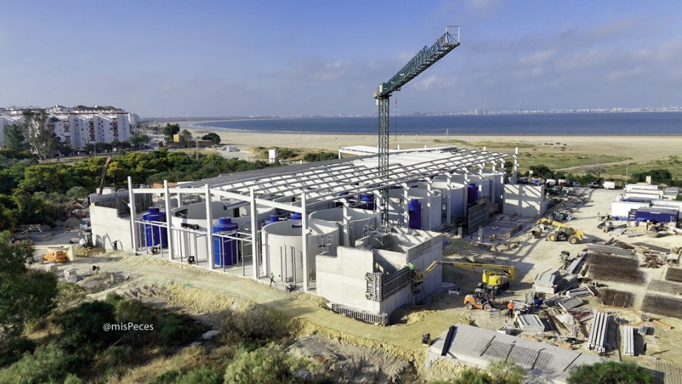 Acuicultura Cádiz - Avance obras junio 2026 |misPeces