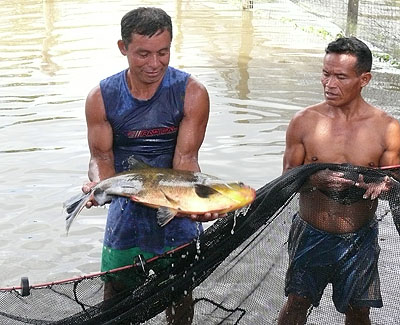 acuicultores-amazonicos-peruanos