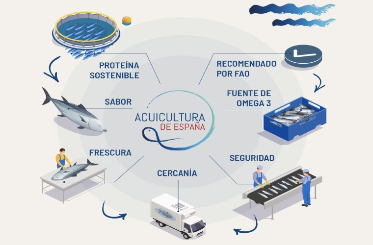 Acuicultura de España, infografía Acuicultura de España, infografía