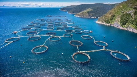 Acuicultura de jaulas flotantes en Grecia