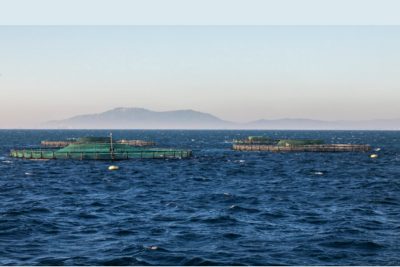 Cataluña aprueba nuevos controles de higiene y trazabilidad para pesca y acuicultura hasta 2030