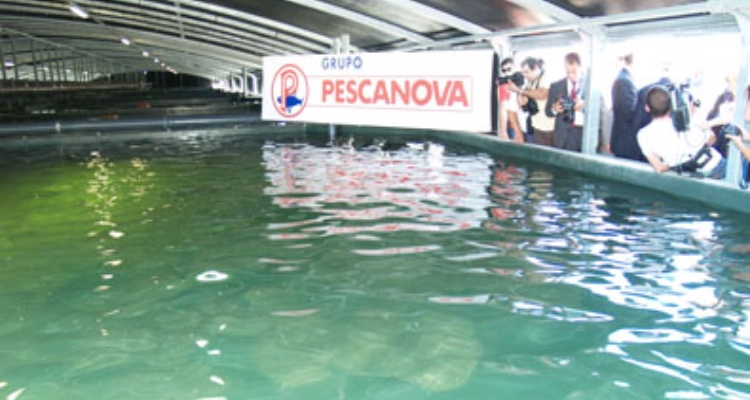 acuinova-portugal-inauguracion-planta-mira