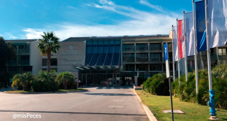 ae2017-entrada-congreso ae2017-entrada-congreso
