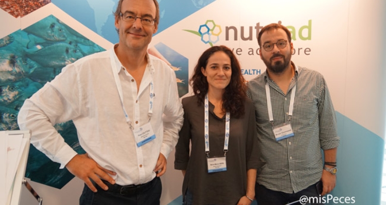 P. Coutteau, M. Isern, M. Tzouramanis
