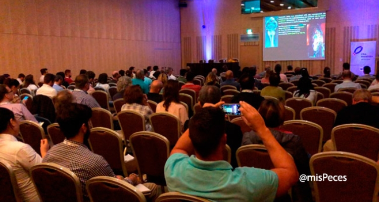 ae2017-publico-conferencia-1 ae2017-publico-conferencia-1