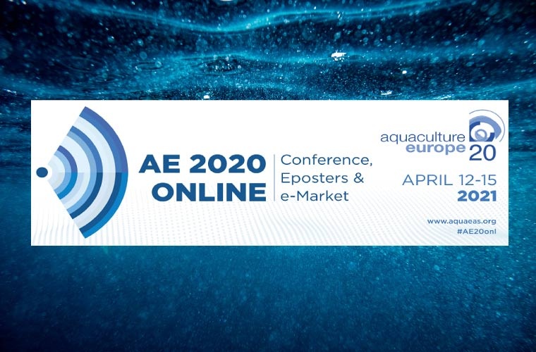 AE 2020 online AE 2020 online