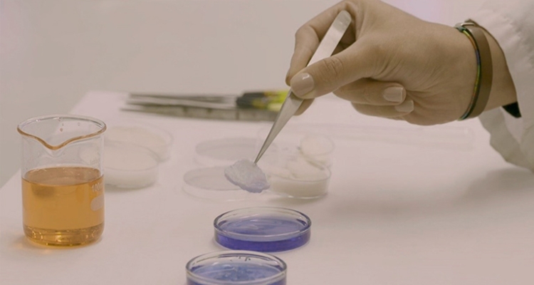 Aerogel hidrofobico biodegradable CSIC Aerogel hidrofobico biodegradable CSIC
