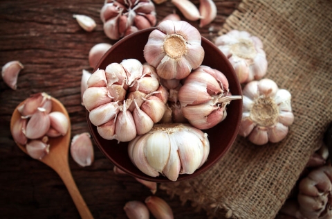 Ajo (Allium sativum)