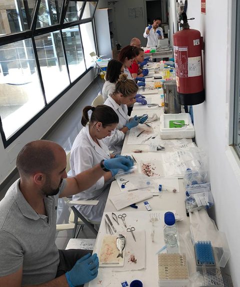 Muestreo en el proyecto Algae4Fish