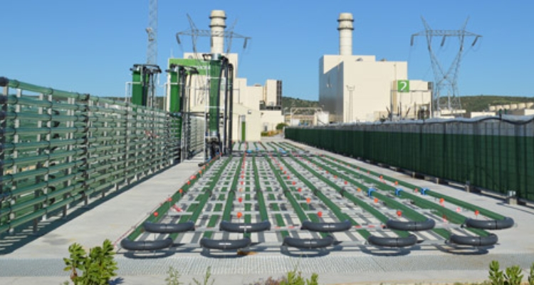 algaenergy-fotobiorreactores