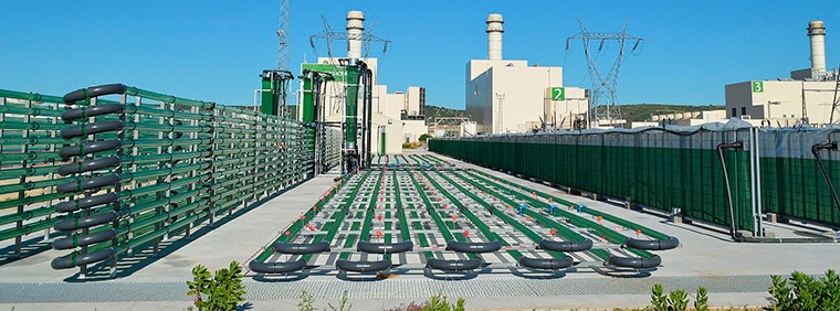 Planta de microalgas de AlgaEnergy en Arcos de la Frontera (Cádiz) Planta de microalgas de AlgaEnergy en Arcos de la Frontera (Cádiz)