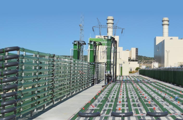 AlgaEnergy en Arcos de la Frontera AlgaEnergy en Arcos de la Frontera