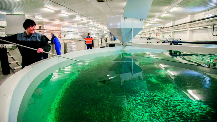 Operario de Alltech Coppens Aqua Center