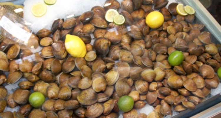 almejas