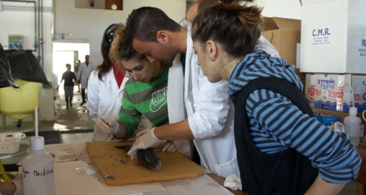 alumnos-ciclos-acuicultura-formacion-profesional