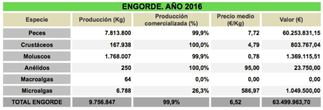 andalucia-produccion-engorde-2016 andalucia-produccion-engorde-2016