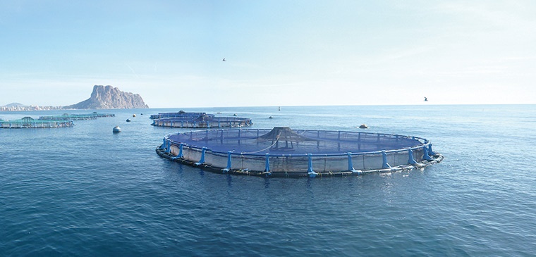 Granja de Andromeda Ibérica en Calpe (Alicante)