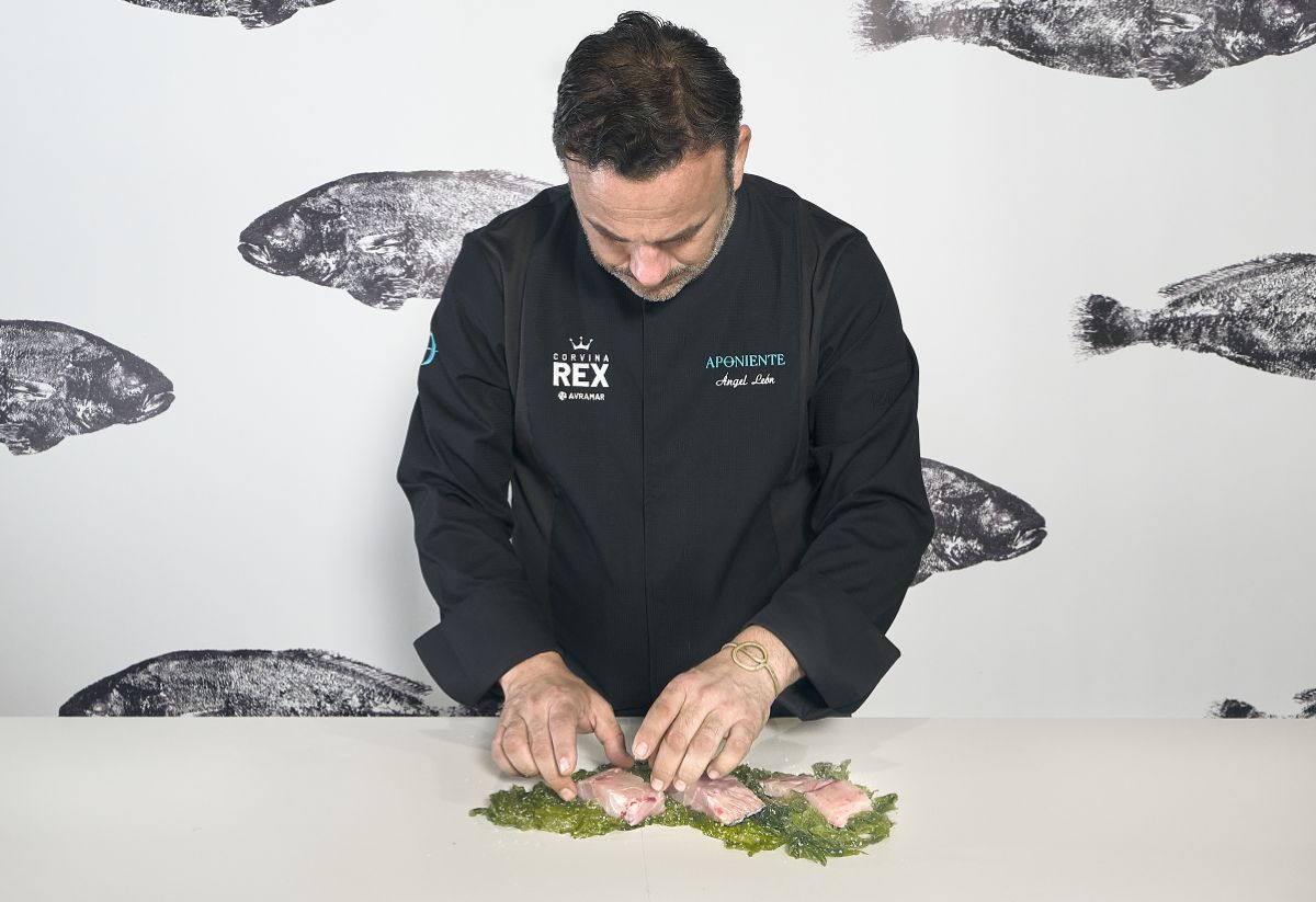 Ángel León | Corvina REX
